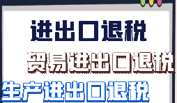 如何填寫(xiě)電子進(jìn)出口退稅外匯驗證表